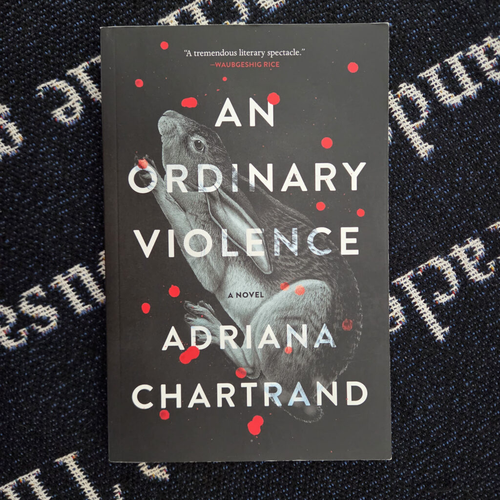An Ordinary Violence By Adriana Chartrand ( paperback )