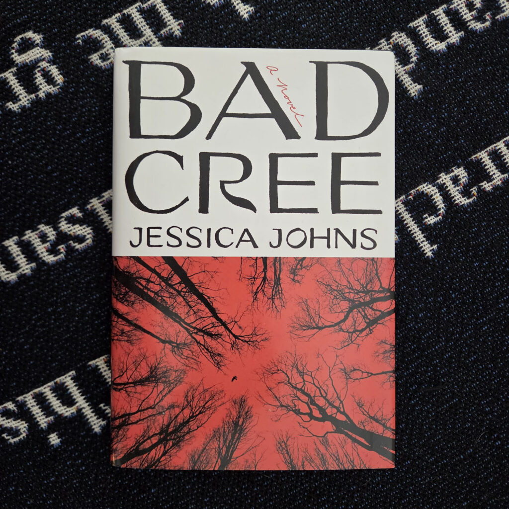 Bad Cree by Jessica Johns ( hardback )