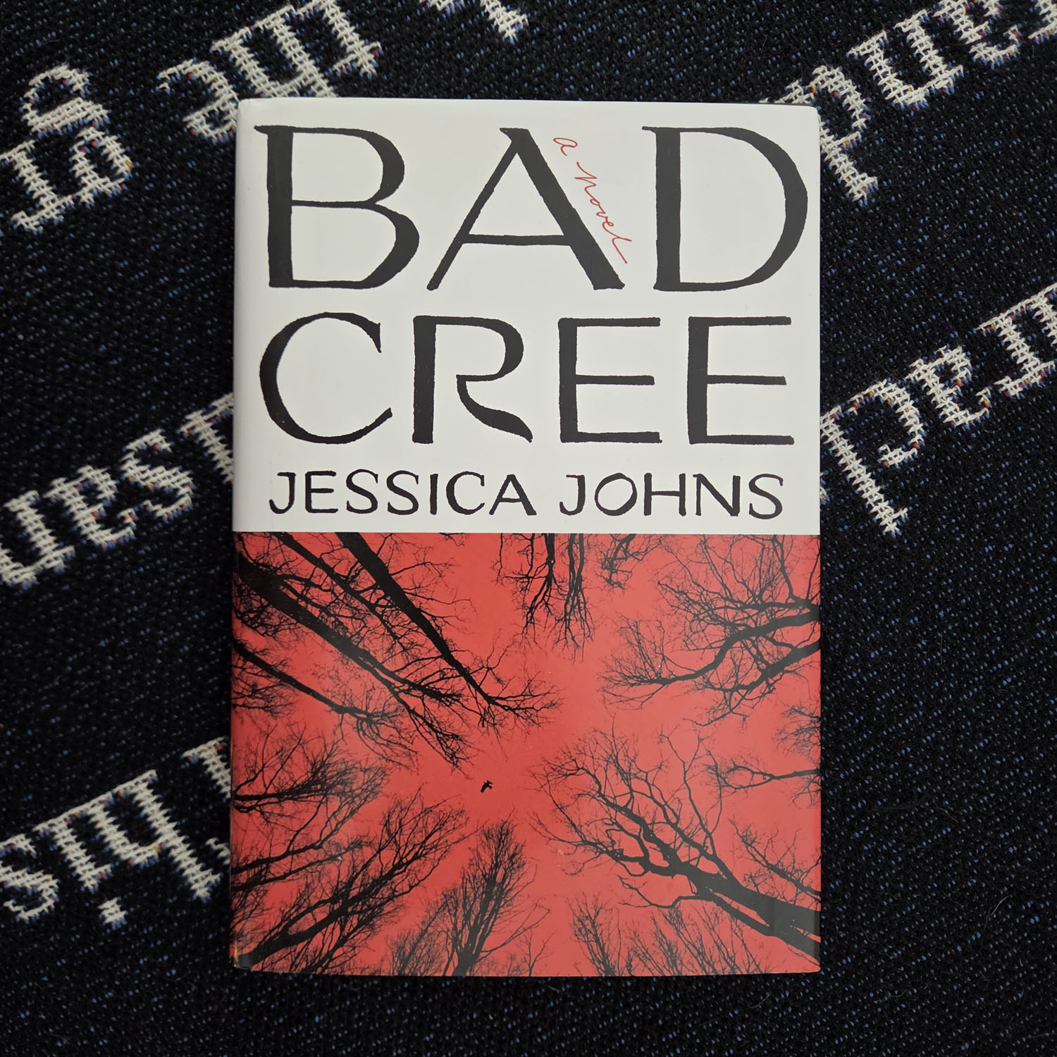 Bad Cree by Jessica Johns ( hardback ) - Image 1